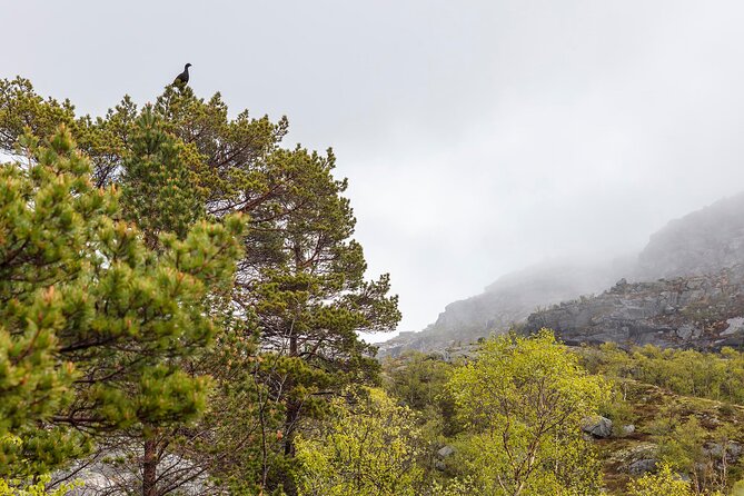 Preikestolen Hidden Trail Hike and Canoe Trip - Exploring the Hidden Trail to Preikestolen
