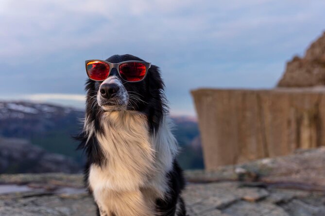 Preikestolen Sunrise Hike And Breakfast Buffet - Reviews and Ratings