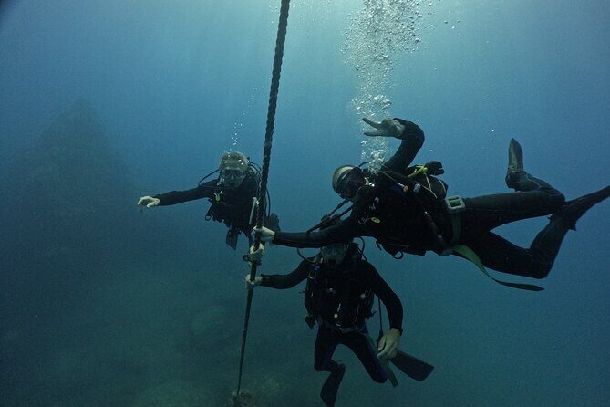 Premier Dive Spots Experience in Kushimoto - Who Should Book This Experience?