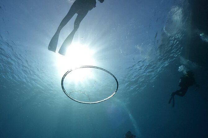 Premier Dive Spots Experience in Kushimoto - Frequently Asked Questions