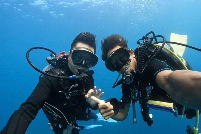 Premier Dive Spots Experience in Kushimoto - Exploring the Premier Dive Spots in Kushimoto