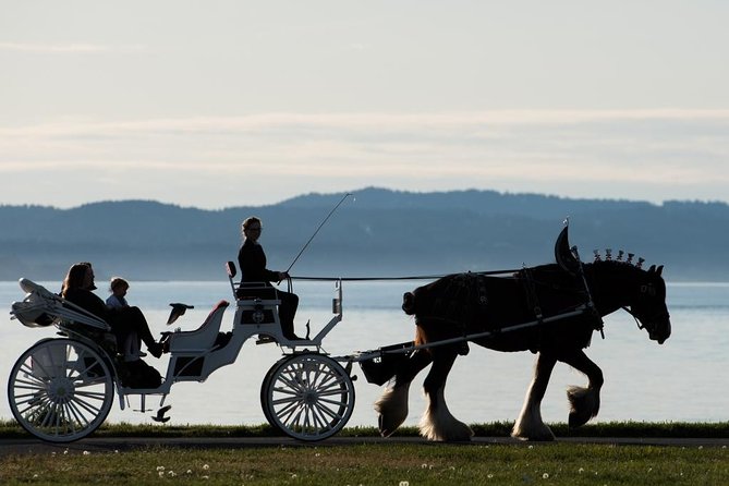 Premier Horse-Drawn Carriage Tour of Victoria - Viator Help Center