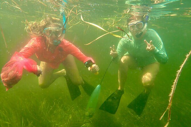 Premier Scalloping Adventure on Florida's Nature Coast - FAQ