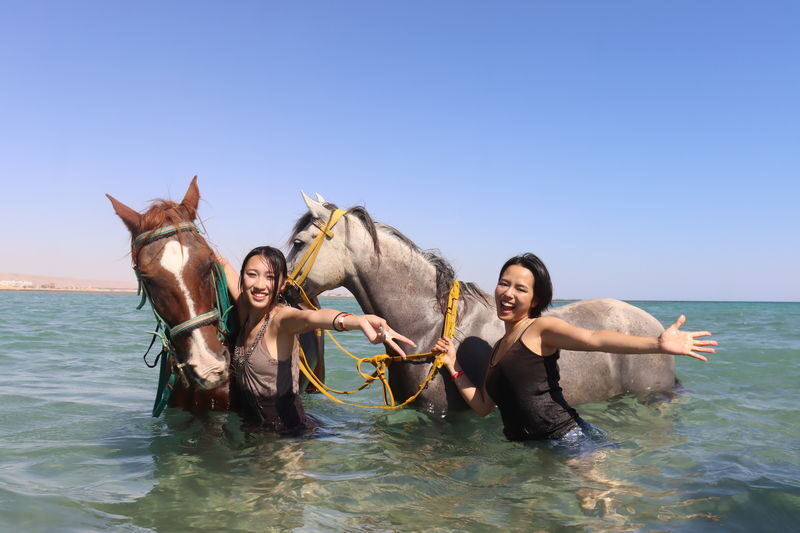 Premium 3 Hours Horse Riding Adventure with Swimming - Hurghada - A Three-Hour Ride With an Unusual Seaside Finish