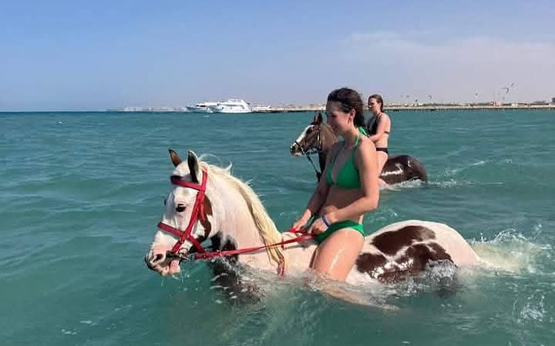 Premium 3 Hours Horse Riding Adventure with Swimming - Hurghada - From Mona Liza Stable Into the Desert
