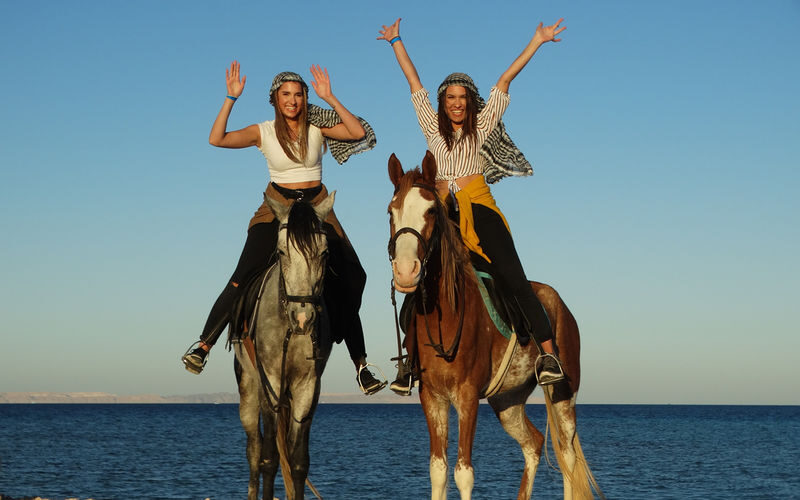Premium 3 Hours Horse Riding Adventure with Swimming - Hurghada - Taking Your Horse Into the Sea
