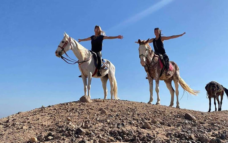 Premium 3 Hours Horse Riding Adventure with Swimming - Hurghada - What the Price Covers, and What It Does Not