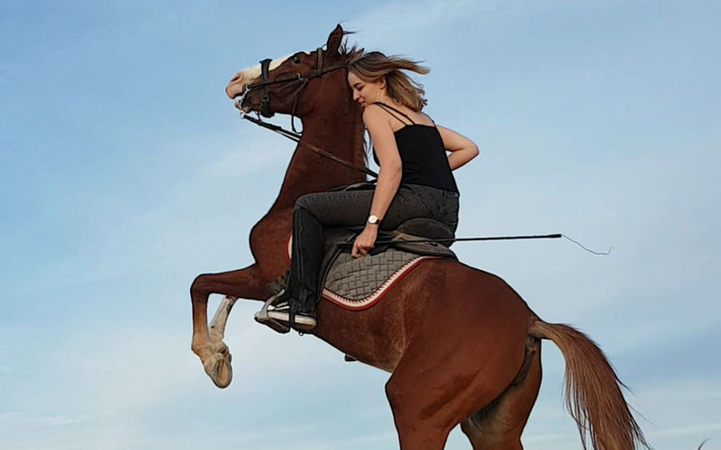 Premium 3 Hours Horse Riding Adventure with Swimming - Hurghada - Clothing, Children and Accessibility