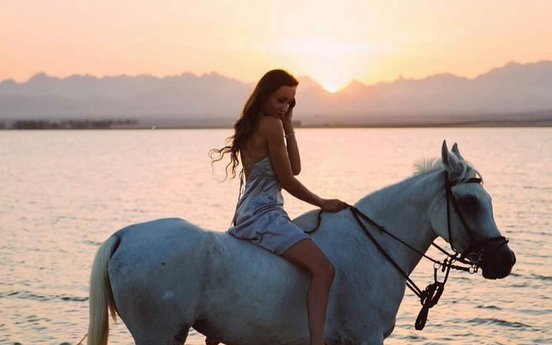 Premium 3 Hours Horse Riding Adventure with Swimming - Hurghada - Who Will Enjoy This Horseback Outing?