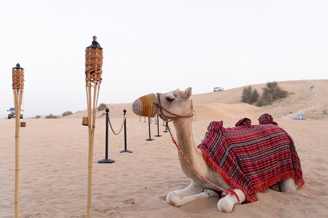 Premium 4x4 Desert Safari With BBQ Dinner (Private Car) - Good To Know