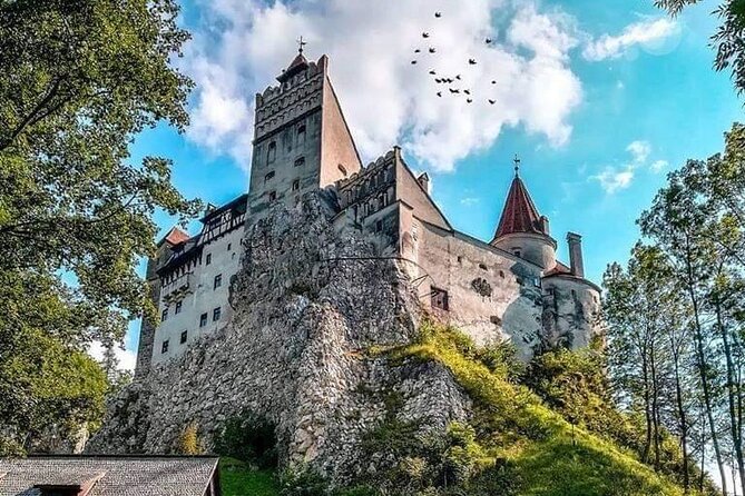 Premium 8-Day Private Culinary Vacation in Romania - Cultural Exploration