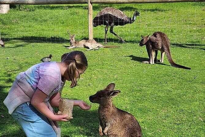 Premium Adelaide Hills Cleland Wildlife and Hahndorf Minibus Tour - An In-Depth Look at the Tour Itinerary