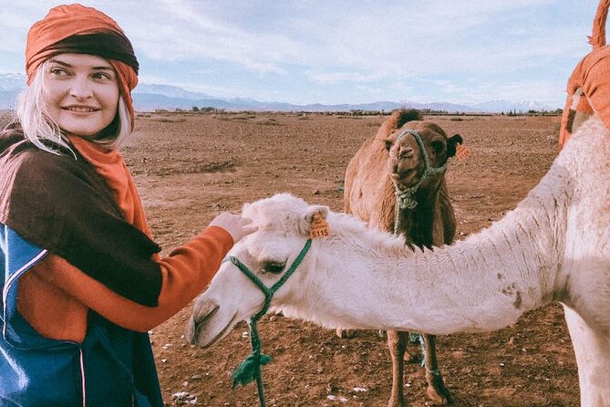 Premium Agafay Desert & Camel Safari Day Tour From Marakech - Customer Review