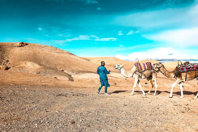 Premium Agafay Desert & Camel Safari Day Tour From Marakech - Frequently Asked Questions