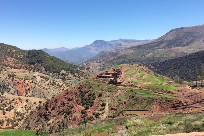 Premium Agafay Desert & Camel Safari Day Tour From Marakech - The Sum Up