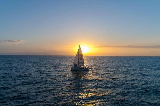 Premium All Inclusive Whale & Dolphin Watching Experience - Educational and Snorkeling Opportunities