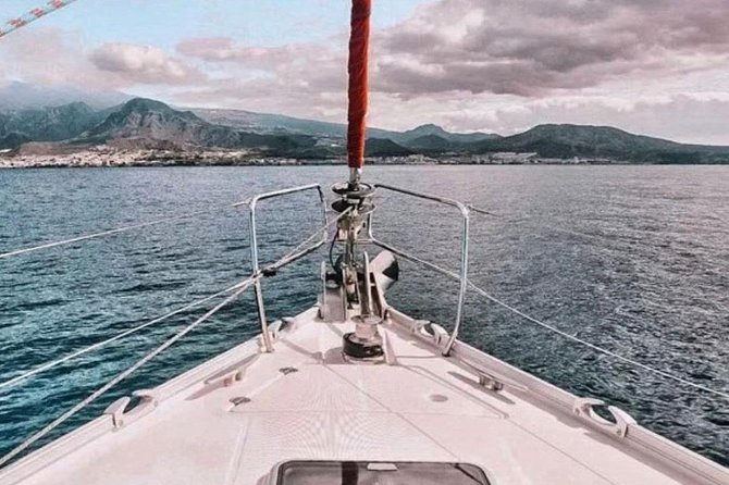 Premium All Inclusive Whale & Dolphin Watching Experience - Additional Information for Travelers