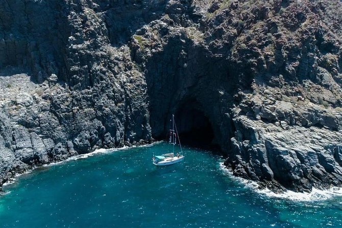 Premium All Inclusive Whale & Dolphin Watching Experience - Common Questions