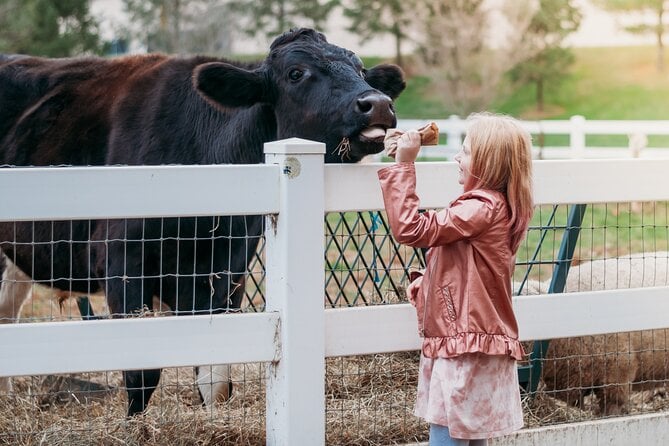 Premium Amish Country Tour Including Amish Farm and House - Farmhouse Exploration