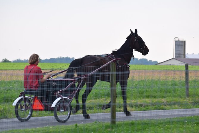 Premium Amish Country Tour Including Amish Farm and House - Craft Market and Farm Animals
