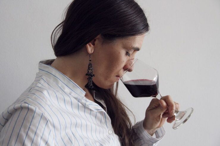Premium Argentinian Wines and Malbec Tasting Experience - Activity Details