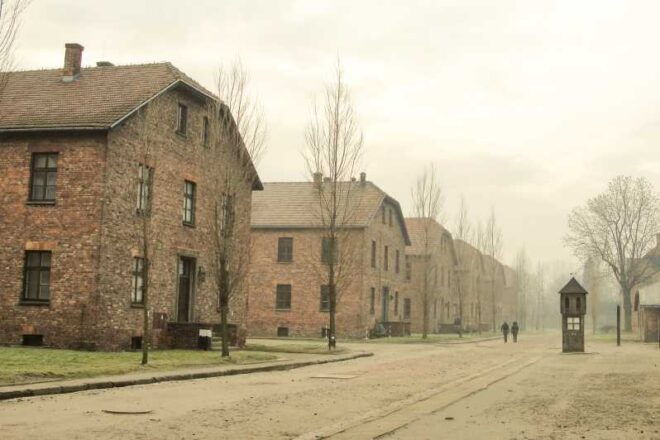 Premium Auschwitz-Birkenau Guided Tour From Krakow - Tour Highlights and Experience