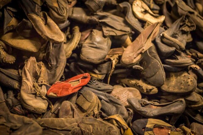 Premium Auschwitz-Birkenau Guided Tour From Krakow - Inclusions and Important Information