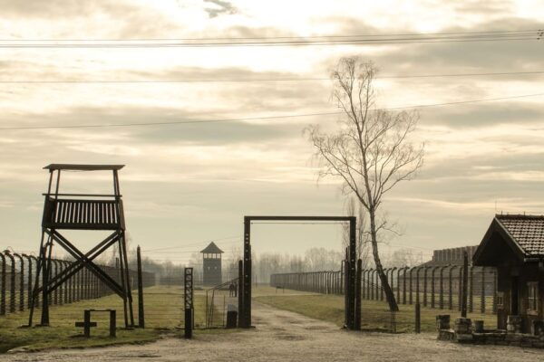 Premium Auschwitz-Birkenau Guided Tour From Krakow - Pickup Locations and Accessibility