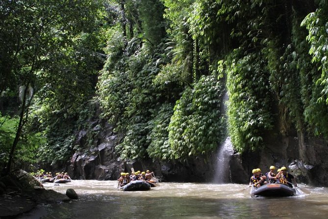 Premium Ayung River White Water Rafting in Bali - Ayung River: A Perfect Rafting Destination