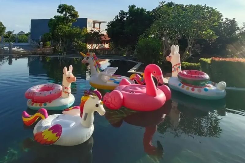 Premium Bali Floaties Rental - A simple pool-day rental, not a sightseeing tour