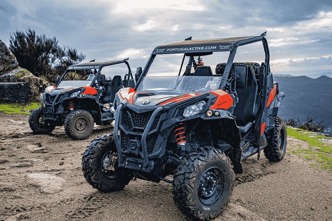 Premium Buggy Experience in Ponte De Lima - Booking and Participation Information