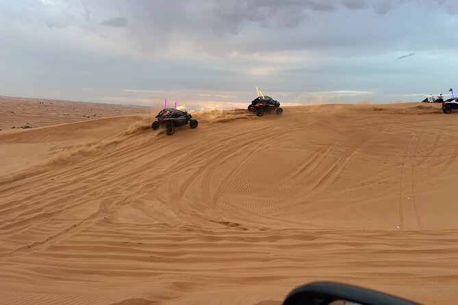 Premium Camp Red Dune Desert Safari Camel Ride and Sandboarding - Customer Reviews