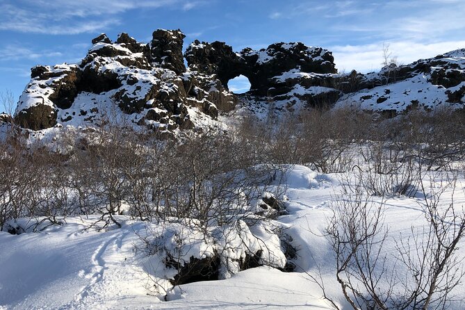 Premium Combo Day Tour Lake Myvatn and Dettifoss - Review Example and Testimonials