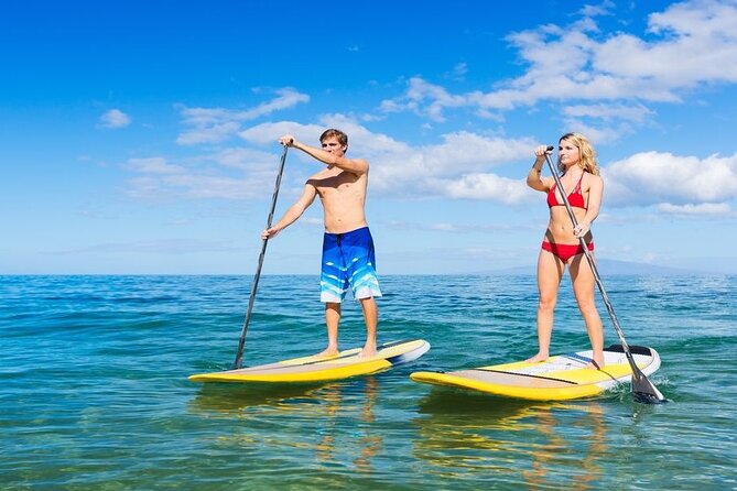 Premium Coral Island Pattaya by Speed Boat - Weather and Travel Requirements