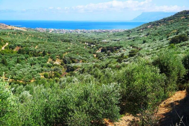 Premium Crete Olive oil tasting, Wine, Raki and Cretan food! - FAQ About the Crete Olive Oil, Wine, and Raki Tour