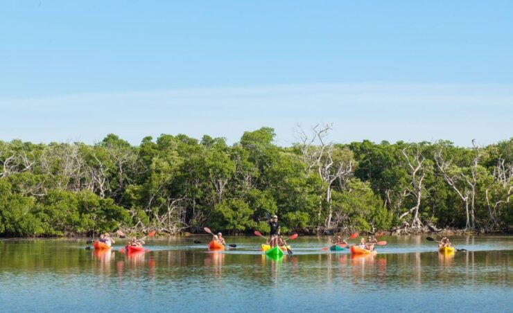 Premium Day Sail, Snorkel &, Kayak With Lunch - Good To Know