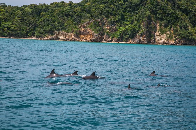 Premium Day Trip Maithon Phi Phi Island By Power Catamaran - Reviews and Ratings