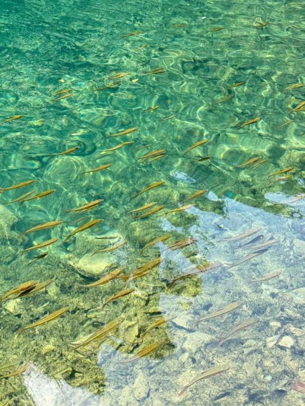 Premium Day Trip to Xiaoqikong - Introduction: Exploring Xiaoqikong in a Day