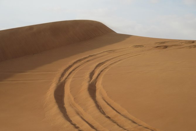 Premium Desert Safari, Barbeque, 3 Shows, Camel Ride, Sand-Board at Bedouin Camp - Desert Adventure Activities