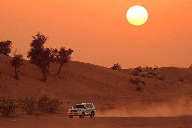Premium Desert Safari, Barbeque, 3 Shows, Camel Ride, Sand-Board at Bedouin Camp - Practical Information and Tips