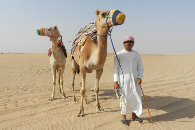 Premium Desert Safari, BBQ, 3 Shows, Camel Ride at Majlis Camp - Common Questions