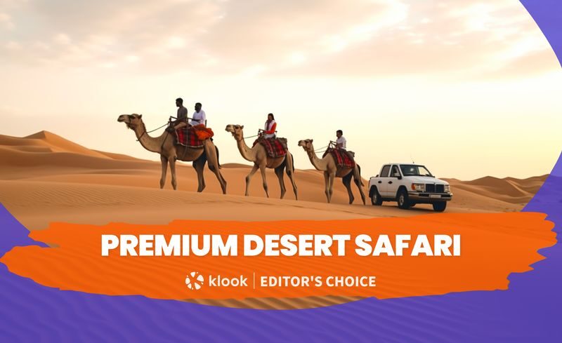 Premium Desert Safari - Morning, Evening & Overnight at Al Khayma - What to know before you book