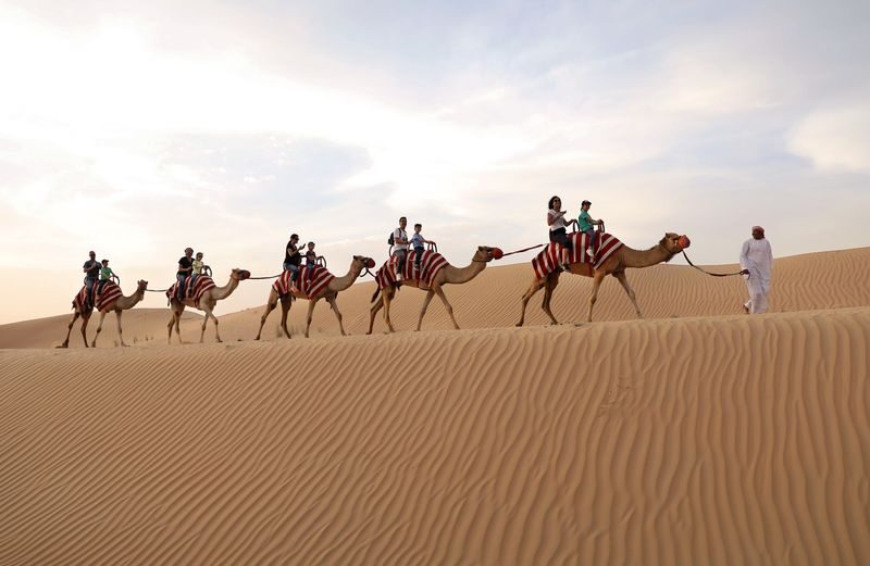 Premium Desert Safari - Morning, Evening & Overnight at Al Khayma - Is the price worth it?