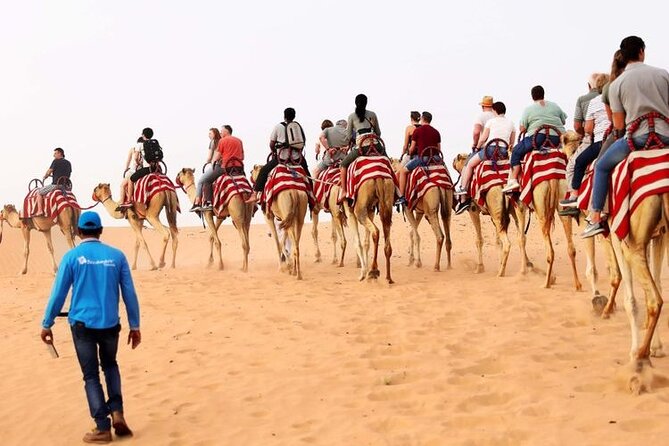 Premium Desert Safari With 45 Minutes of Dune Bashing, BBQ Dinner & Belly Dance - Reviews and Ratings