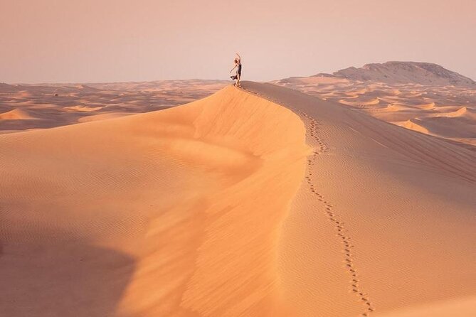 Premium Desert Safari With Dune Buggy Camel Ride BBQ Dinner - Cancellation Policy and Important Information