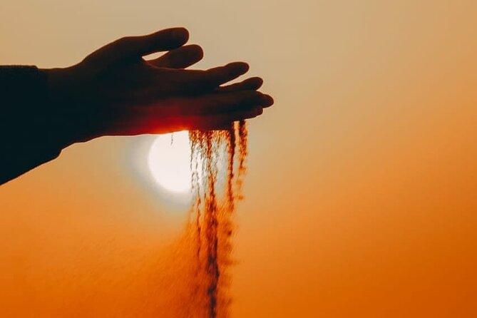 Premium Desert Safari With Dune Buggy Camel Ride BBQ Dinner - Traveler Reviews and Ratings