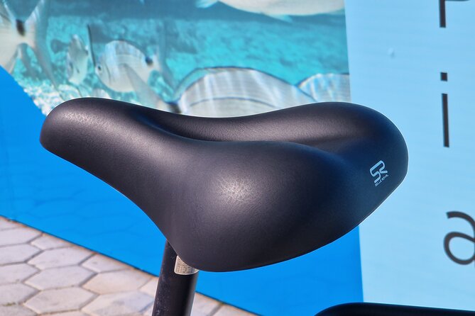 Premium Electric Bike Rental in Barcelona - Booking Details
