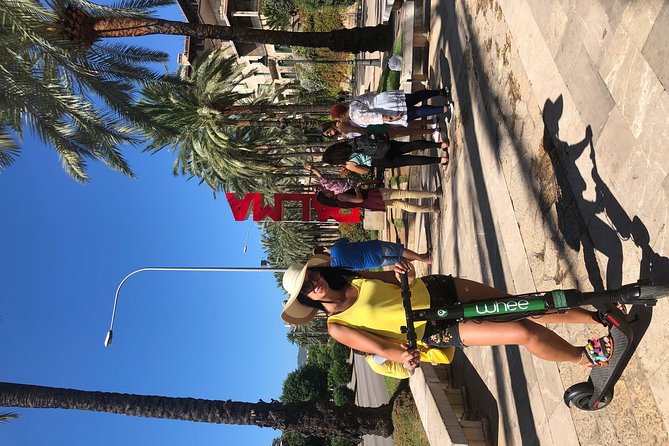 Premium Electric Scooter Rental With Optional Delivery and Collection Service - Inclusions