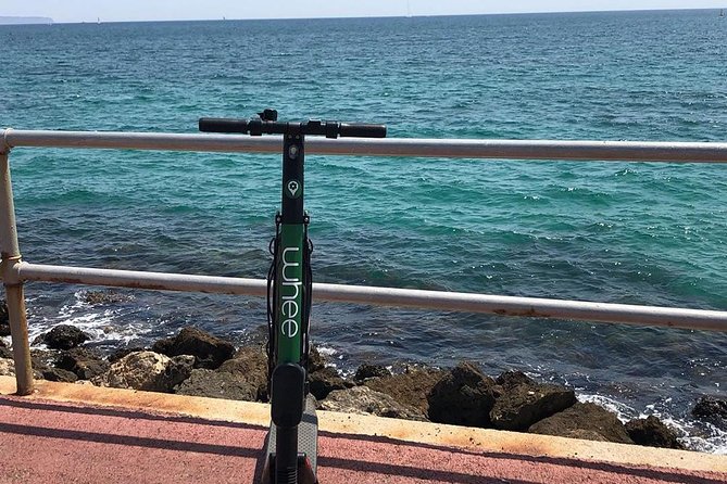 Premium Electric Scooter Rental With Optional Delivery and Collection Service - Common Questions