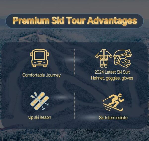 Premium Elysian Ski Tour(Clothing+Gear+Basic Lessons) - Booking and Cancellation Policy